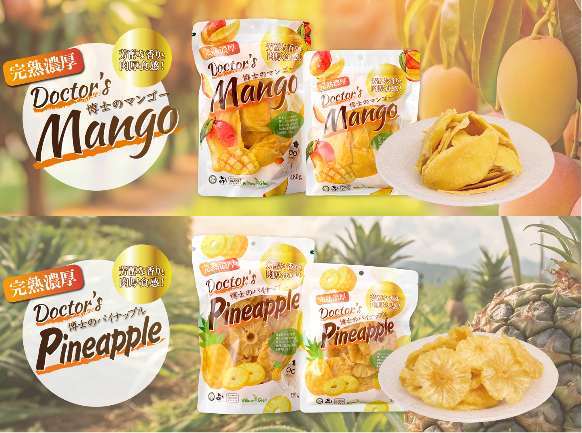 ドライフルーツ（ドライマンゴー・ドライパイナップル）